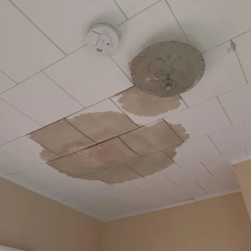 Ceiling Water Damage Repair in Rutherford, NJ